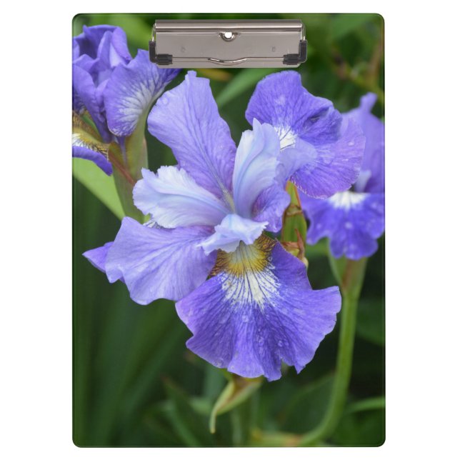 Purple iris clipboard (Front)