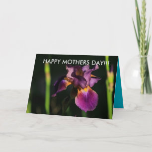 Purple Iris Closeup Mothers Day Card