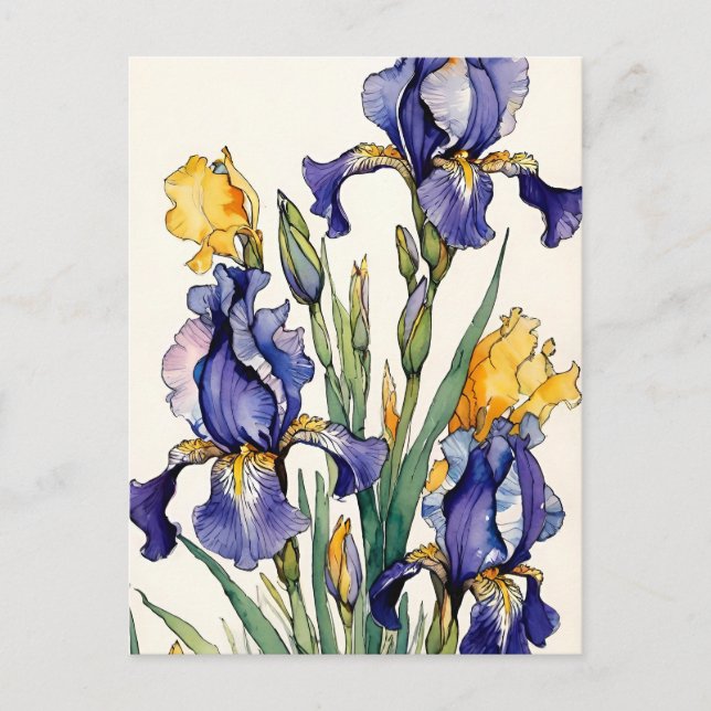 Purple Iris Flower Bloom                           Holiday Postcard (Front)