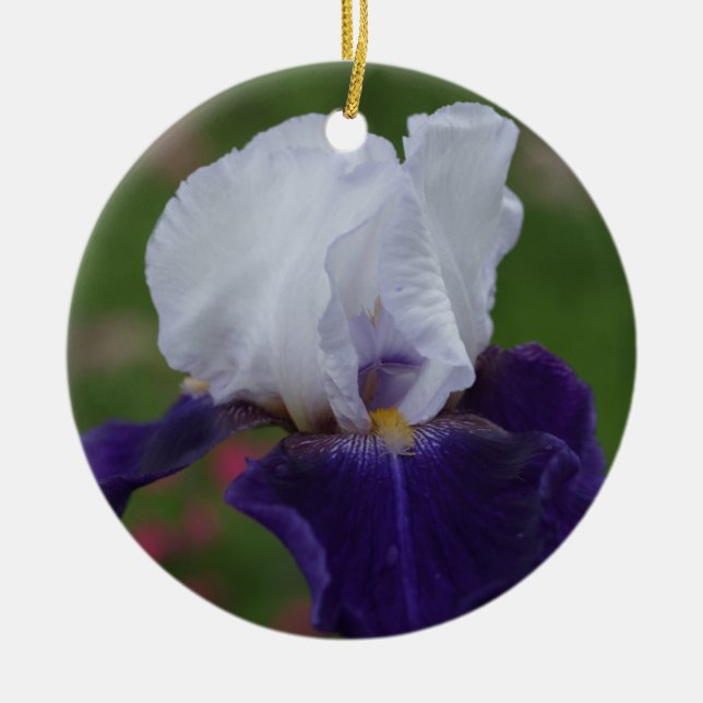 Purple Iris Flower Christmas Ornament (Front)