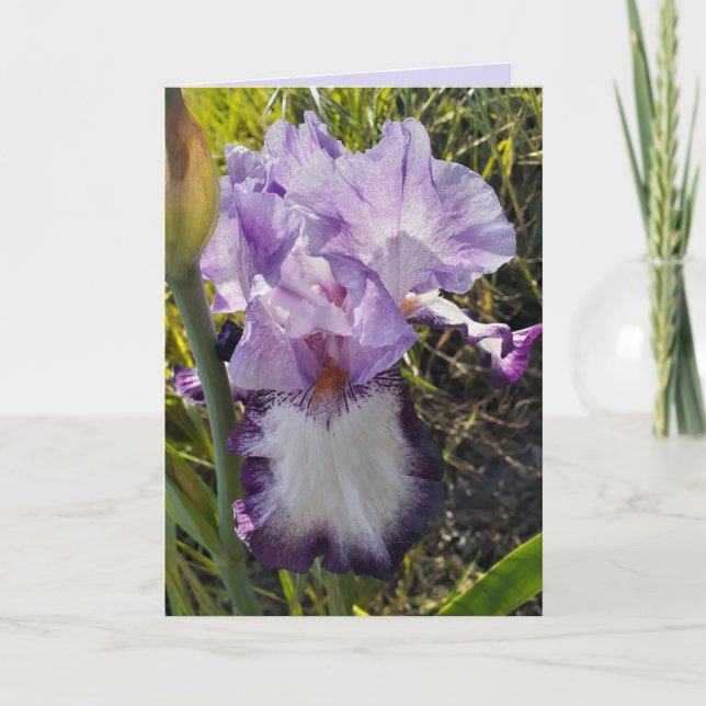 Purple Iris Flower Flowers Garden Birthday Card (Front)