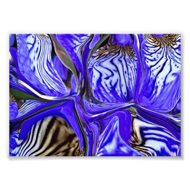 Purple Iris Flower Photo Print (Front)