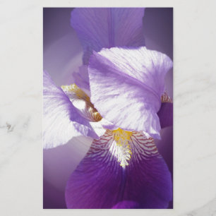purple iris flower stationery