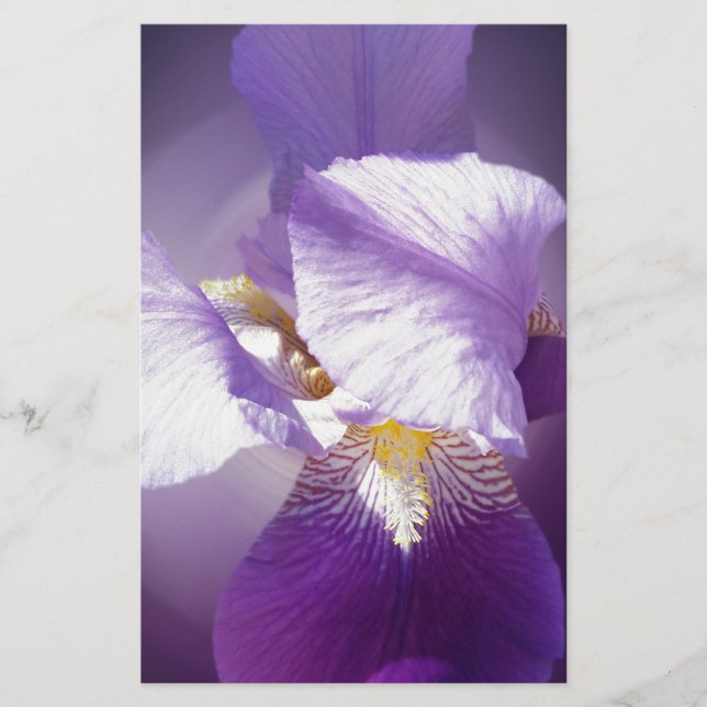 purple iris flower stationery (Front)