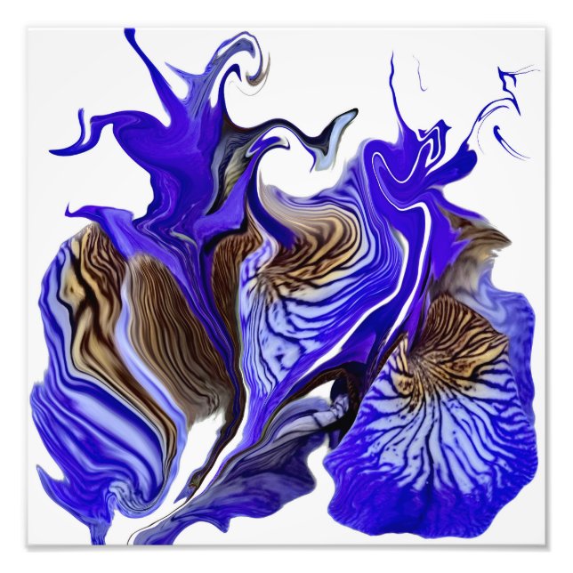 Purple Iris Flower Swirls Photo Print (Front)