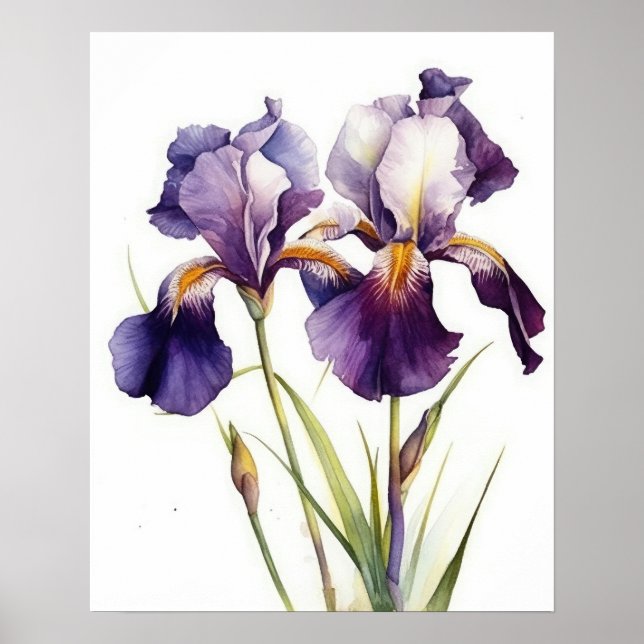 Purple Iris Flowers Art Print Poster (Front)