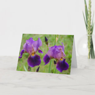 Purple Iris - Flowers - Mother's Day - Birthday Card