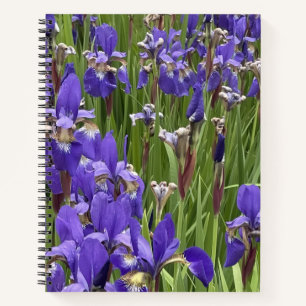 Purple Iris Flowers Nature Plants Photography Notebook