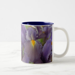 Purple Iris Flowers Photo Art Coffee Mugs