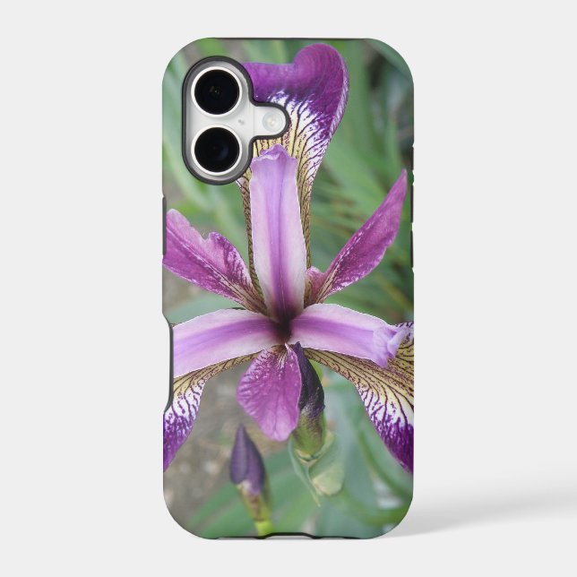 Purple Iris iPhone 5 Case (Back)
