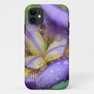 Purple Iris (Iris Germanica) iPhone 11 Case