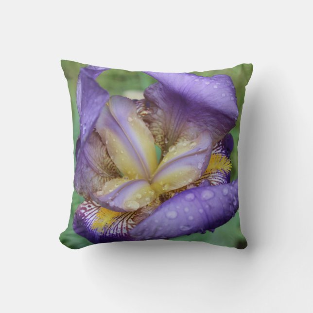 Purple Iris (Iris Germanica) Throw Pillow (Front)