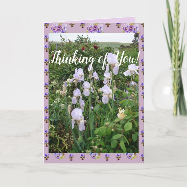 Purple Iris irises Garden Thinking of You Card (Front)