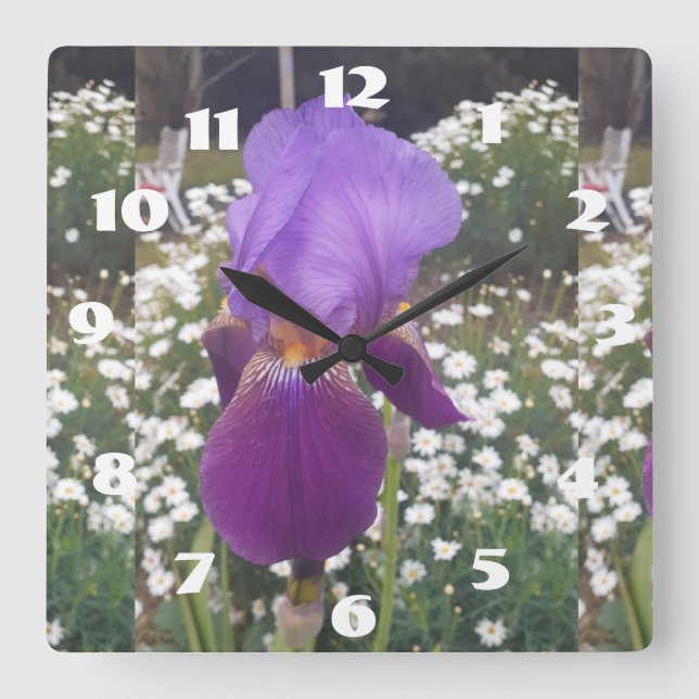 Purple Iris Irises White Daisy Garden Flower  Square Wall Clock (Front)