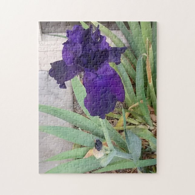 Purple Iris Jigsaw Puzzle (Vertical)