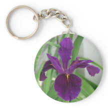 Purple Iris
