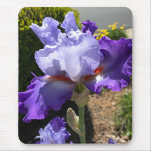 Purple Iris Mouse Pad