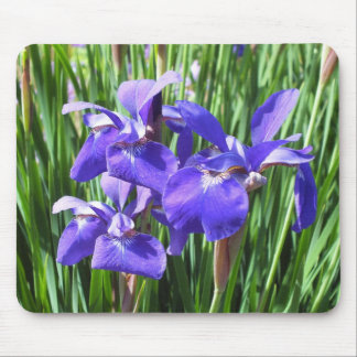 Purple Iris Mouse Pad