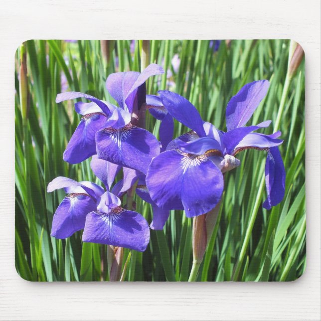 Purple Iris Mouse Pad (Front)