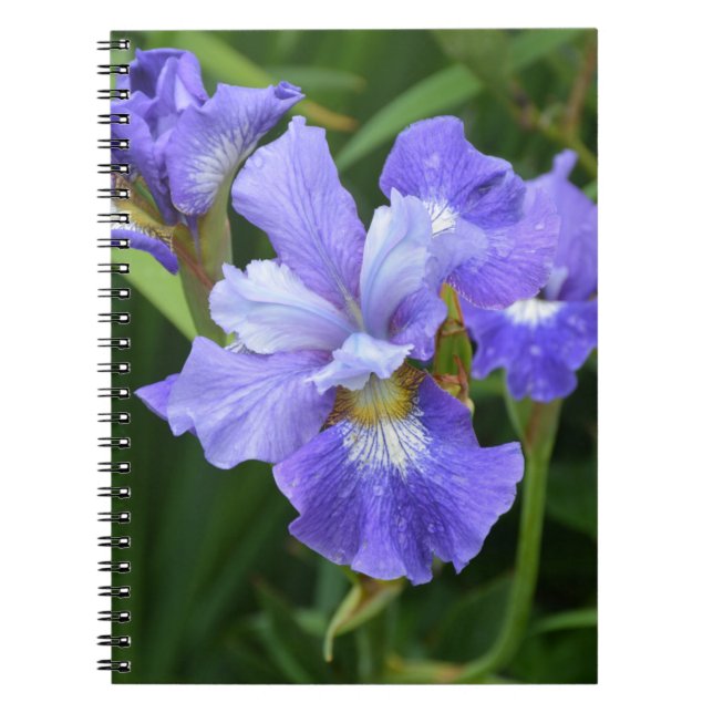 Purple iris notebook (Front)