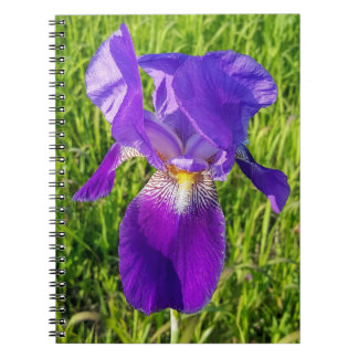 Purple Iris Notebook