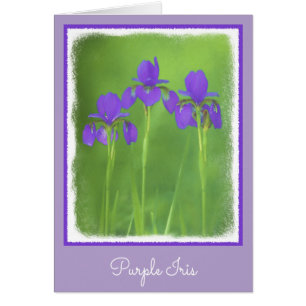 Purple Iris Painting - Original Flower Art