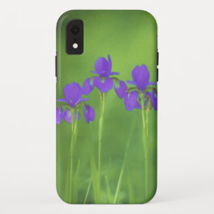 Purple Iris Painting - Original Flower Art iPhone XR Case