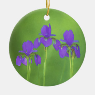 Purple Iris Painting - Original Flower Art Ceramic Ornament