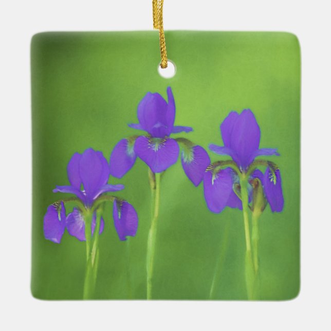 Purple Iris Painting - Original Flower Art Ceramic Ornament (Front)