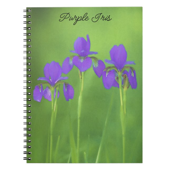Purple Iris Painting - Original Flower Art Notebook (Front)