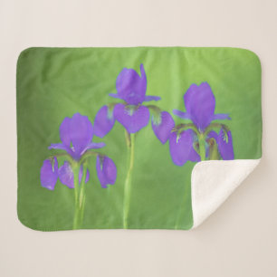 Purple Iris Painting - Original Flower Art Sherpa Blanket