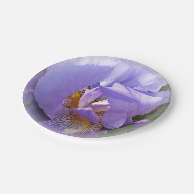 purple iris paper plate (Angled)