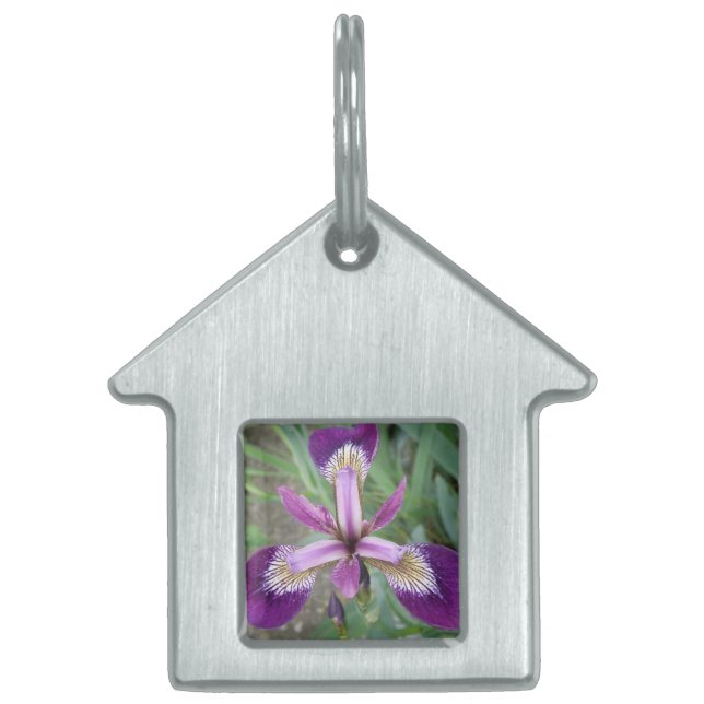 Purple Iris Pet Tag (Front)