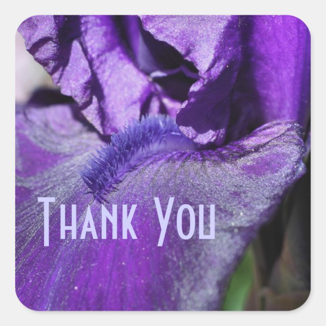 Purple Iris Petal Flower Thank You Sticker (Front)