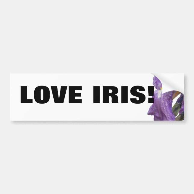 Purple Iris Photograph Bumper Sticker (Front)