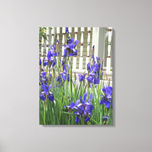 Purple Iris Picture Canvas Print