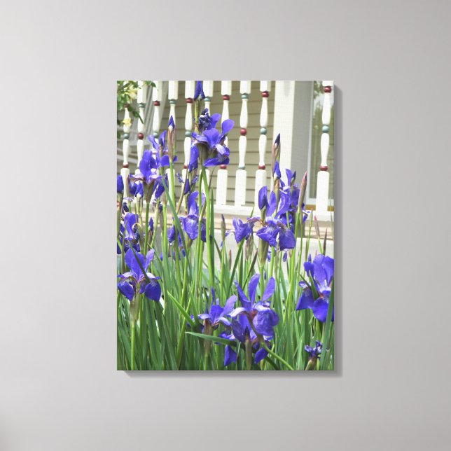 Purple Iris Picture Canvas Print (Front)