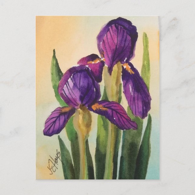 Purple Iris Postcard (Front)