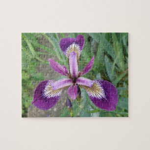 Purple Iris Puzzle