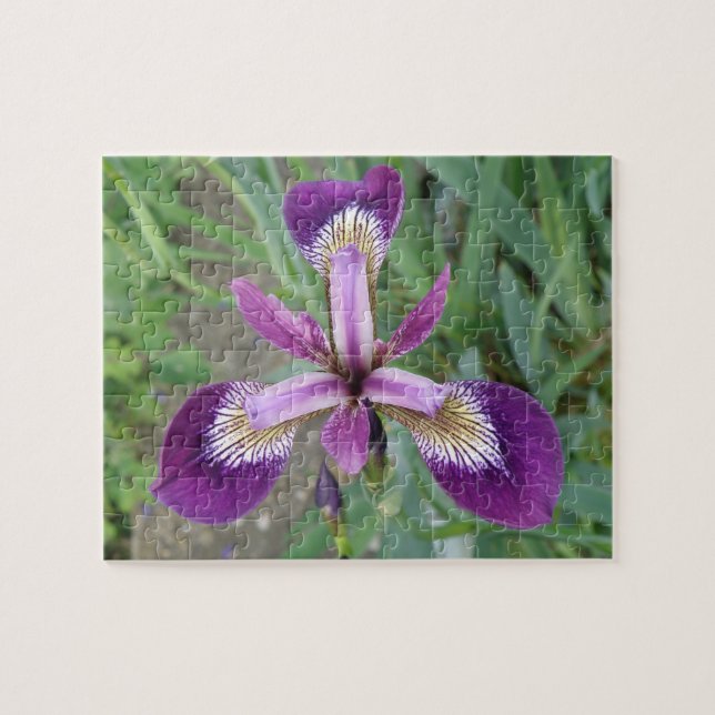 Purple Iris Puzzle (Horizontal)