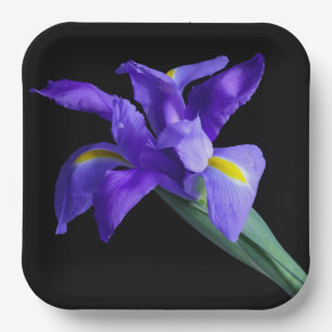 Purple Iris Square Plate