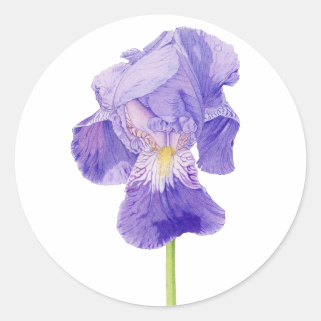 Purple Iris Sticker (Front)