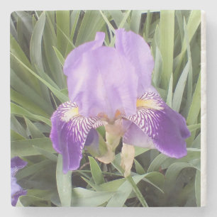 Purple Iris StoneCoaster Stone Coaster