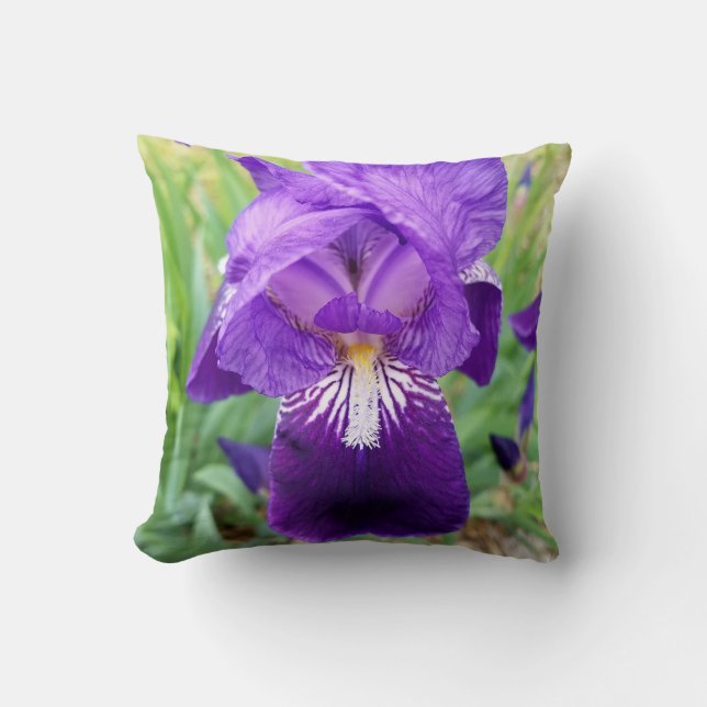 Purple Iris Throw Pillow (Front)