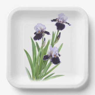 Purple Iris Trio Botanical Art Paper Plate