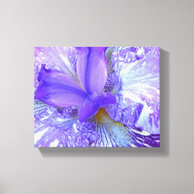 Purple Iris Wrapped Canvas (Front)