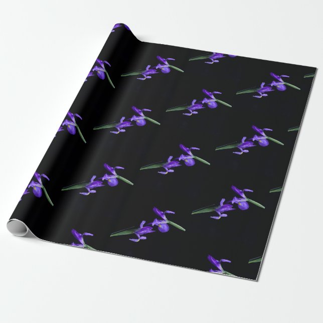 Purple Iris Wrapping Paper (Unrolled)