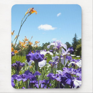 Purple Irises and Sky Mousepad