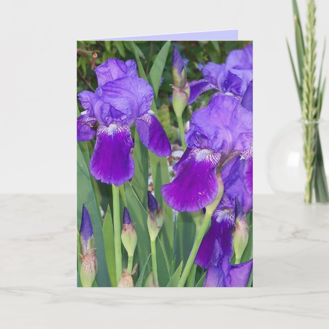 Purple Irises Birthday Card (Front)