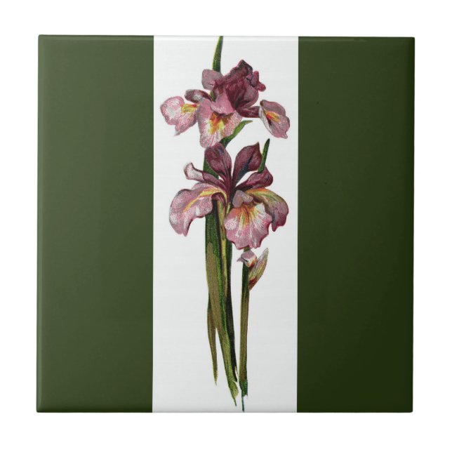 Purple Irises Dark Green Tile (Front)